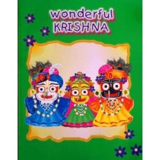 Wonderful Krishna, Activity Book